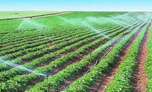 屄美女日屄视频播放黄片农田高 效节水灌溉